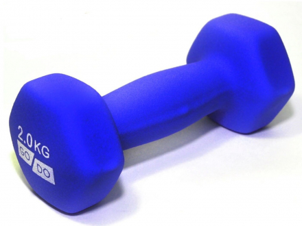 Гантель GODO синий 2КГ