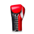 Перчатки боксерские LEADERS LEAD SERIES на шнуровке