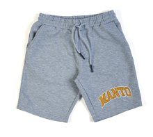 Шорты тренировочные MANTO VARSITY