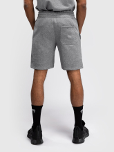 Шорты спортивные Venum Silent Power Cloud Grey