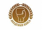 Академия Бокса
