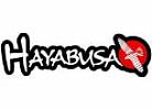 HAYABUSA