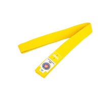 ПОЯС ДЛЯ ДЗЮДО CLINCH JUD